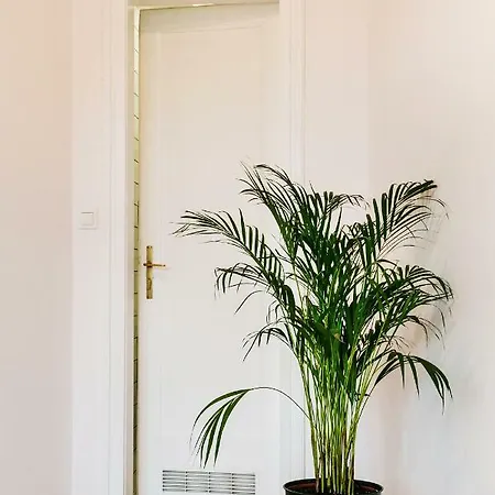 Apartament Yellow Pillow Lux *